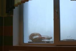 05e50000-0a00-0242-393b-08d9a8d93419_w1597_n_r0_st1.jpeg