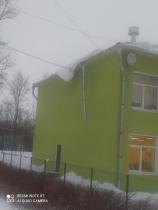 11757291.jpg