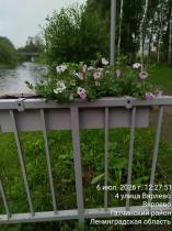 20260801_05.jpg
