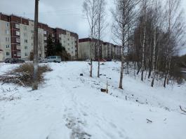 img_20240420_144119.jpg