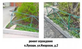 lylf21zv6hi1.jpg lylf21zv6hi1.jpg