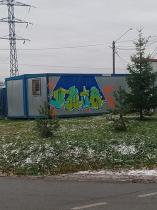 qfwuenwzjz81.jpg