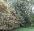 dscn7474.jpg