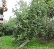 dscn7548.jpg