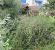 dscn7583.jpg