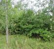 dscn7793.jpg