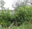 dscn7796.jpg