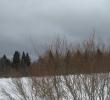 2011_03024.jpg