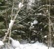 2011_03026.jpg