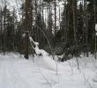 2011_03033.jpg