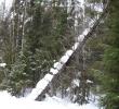 2011_03034.jpg