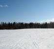 2011_03037.jpg