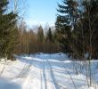 2011_03038.jpg