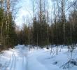 2011_03041.jpg