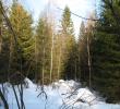 2011_03043.jpg