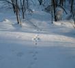 2011_03044.jpg