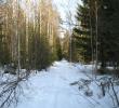 2011_03046.jpg