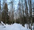 2011_03049.jpg