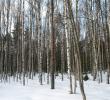 2011_03054.jpg