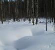 2011_03055.jpg