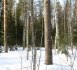 2011_03057.jpg