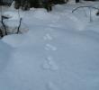 2011_03058.jpg