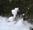 2011_03059.jpg