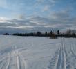 2011_03062.jpg