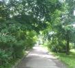 IMAG0635