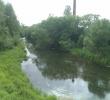 IMAG0647