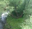 IMAG0654