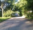 IMAG0809