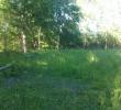 IMAG0820