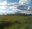 IMAG0821