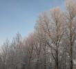 20160116_903.jpg